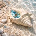 Caracola marina